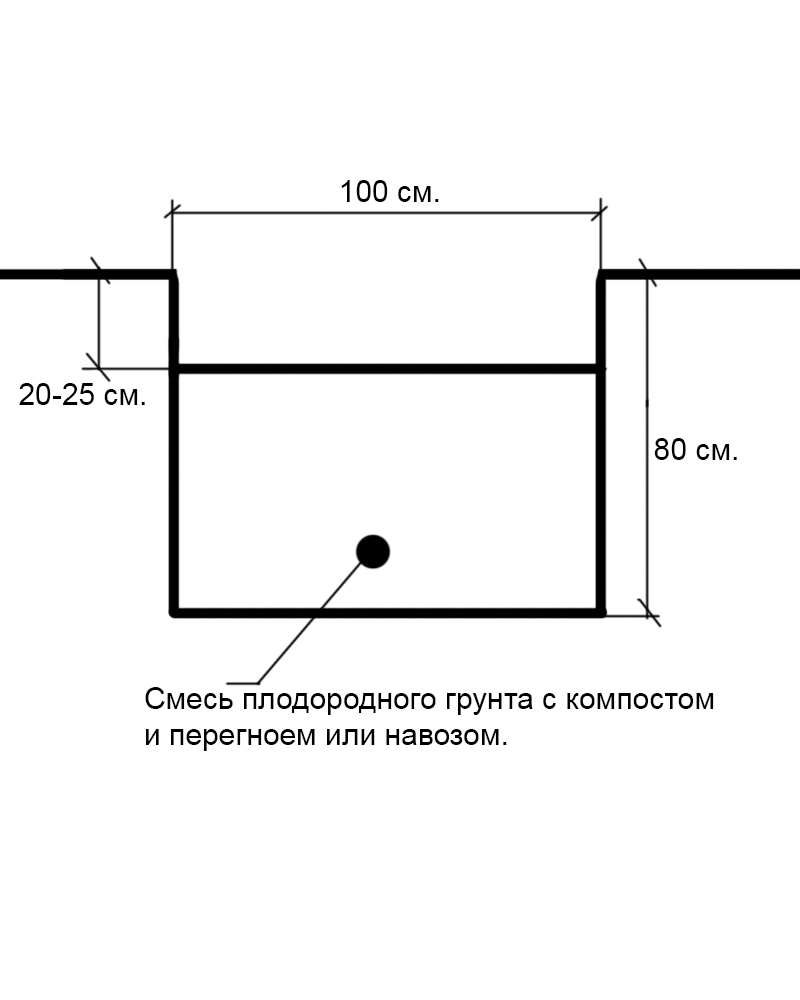 Схема ямы для посадки винограда
