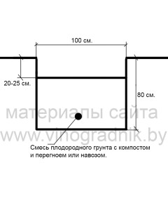 Схема моей посадочной ямы.