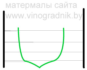 Рис 6.Придание побегам нужных углов наклона во время вегетации.