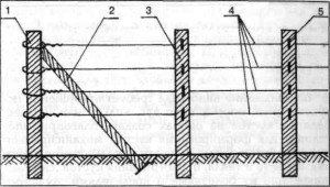 Схема одноплоскостной шпалеры: 1-крайняя опора в ряду. 2-упор (якорь). Наклонная стойка для предотвращения заваливания опорной стойки. 3-промежуточная опора в ряду. 4-проволока или трос. 5- крепление проволоки на опоре.